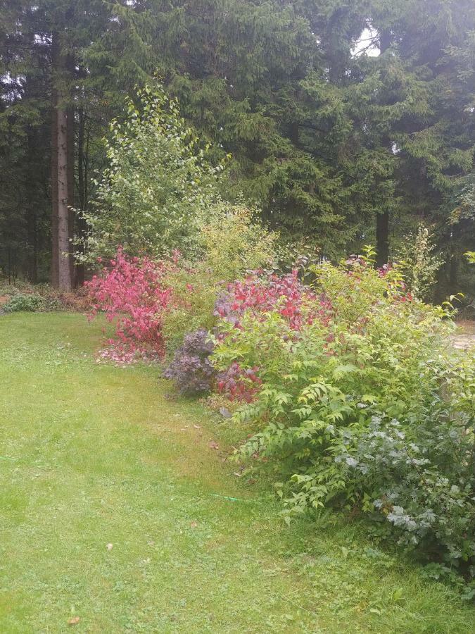 Wanderhuette Zum Bernhardsthal Villa Exterior foto